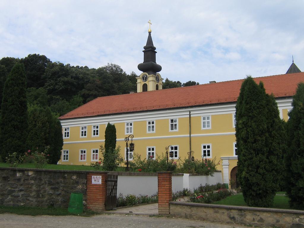 B&B Villa Evandjelina Sremska Kamenica Exterior photo