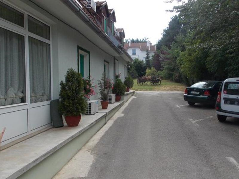 B&B Villa Evandjelina Sremska Kamenica Exterior photo
